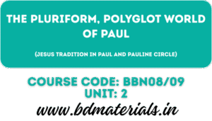 The pluriform, polyglot world of Paul