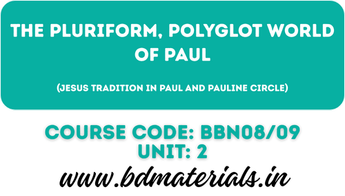 The pluriform, polyglot world of Paul